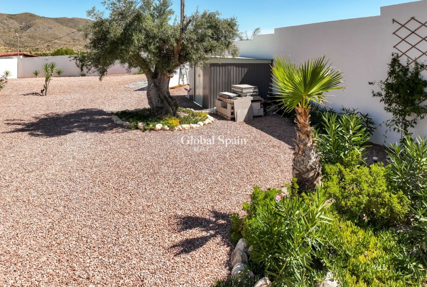 Resale - Villa -
Hondon De Los Frailes