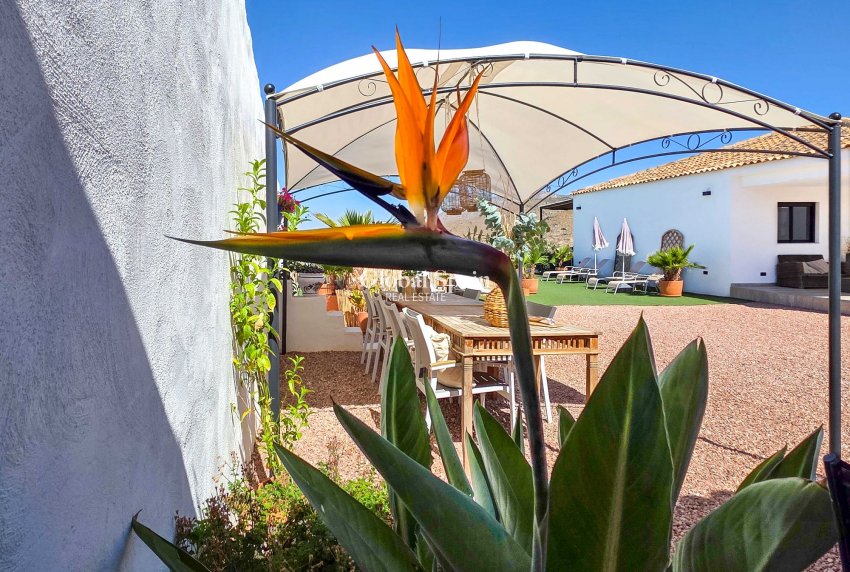 Resale - Villa -
Hondon De Los Frailes