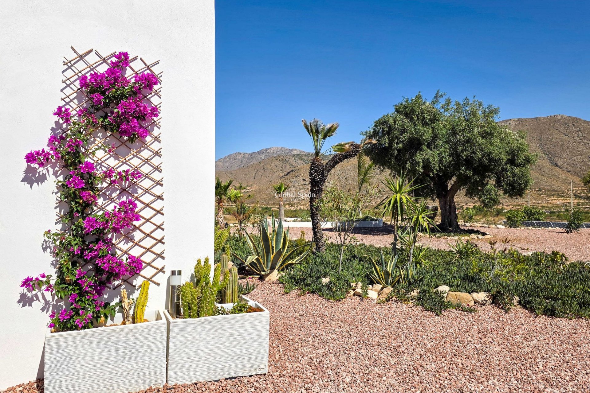 Resale - Villa -
Hondon De Los Frailes