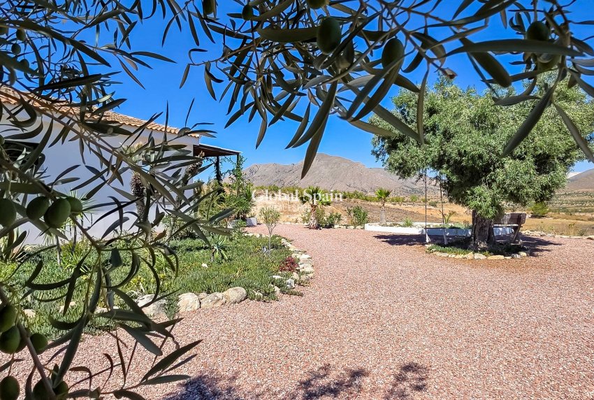 Resale - Villa -
Hondon De Los Frailes