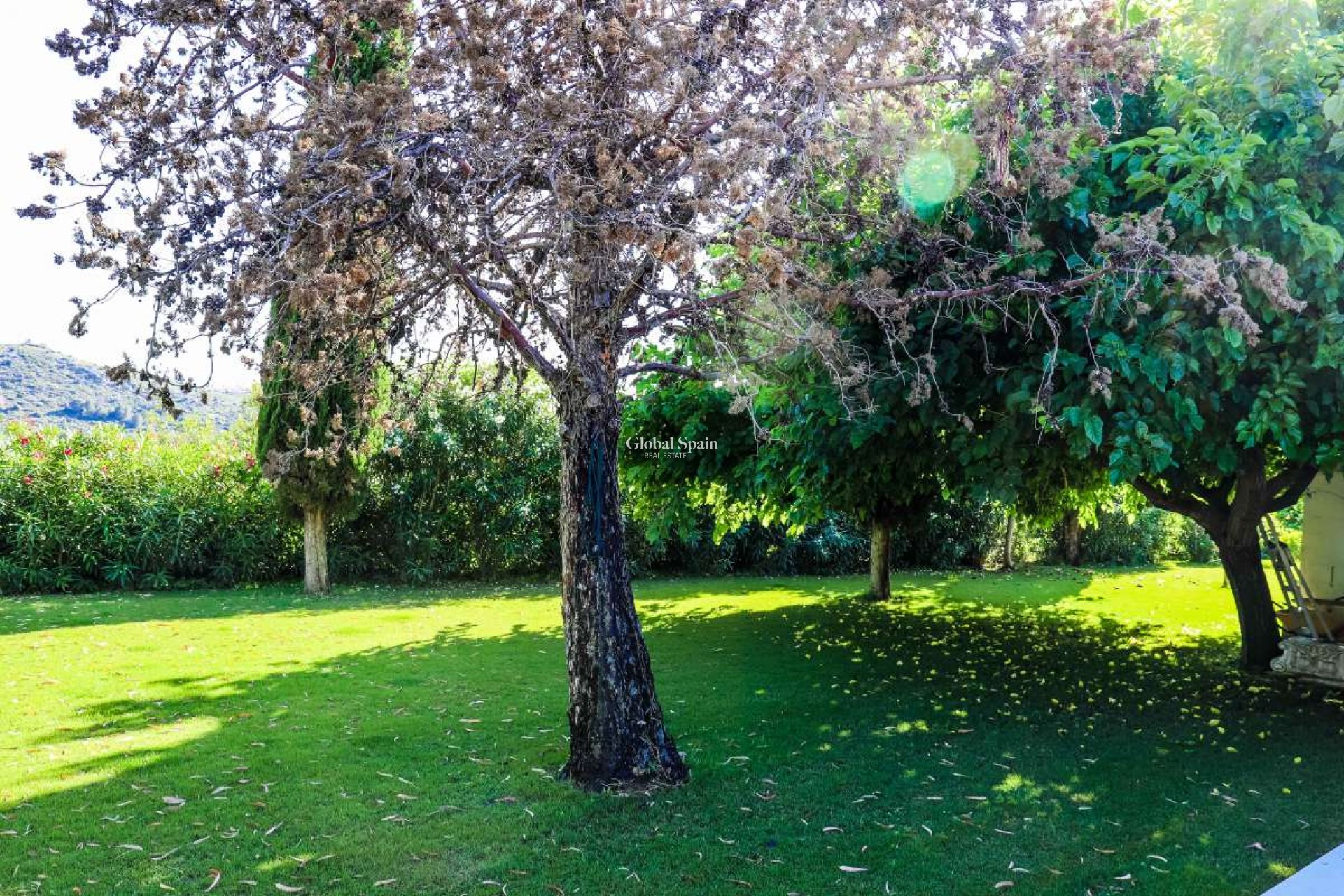 Resale - VILLA -
JESÚS POBRE - Inland