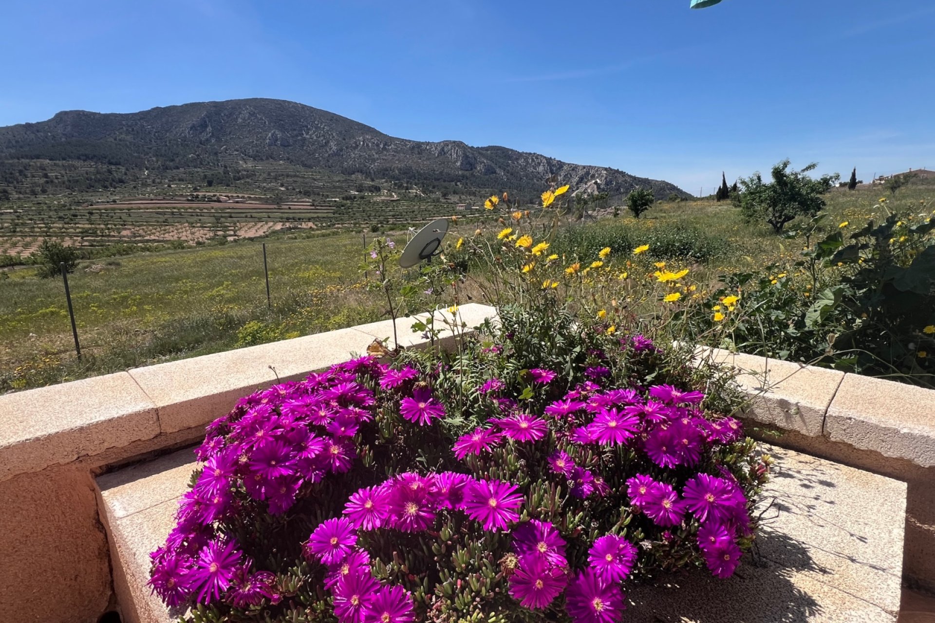 Resale - VILLA -
LA ROMANA - Inland