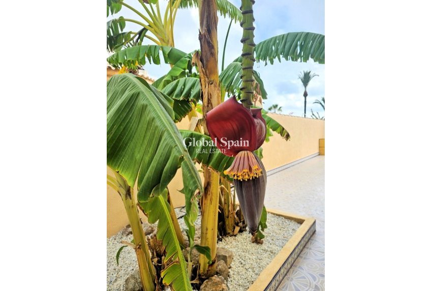 Resale - Villa -
Los Urrutias  - Estrella de Mar