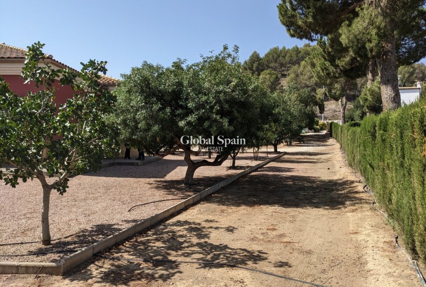 Resale - VILLA -
MURCIA - Inland