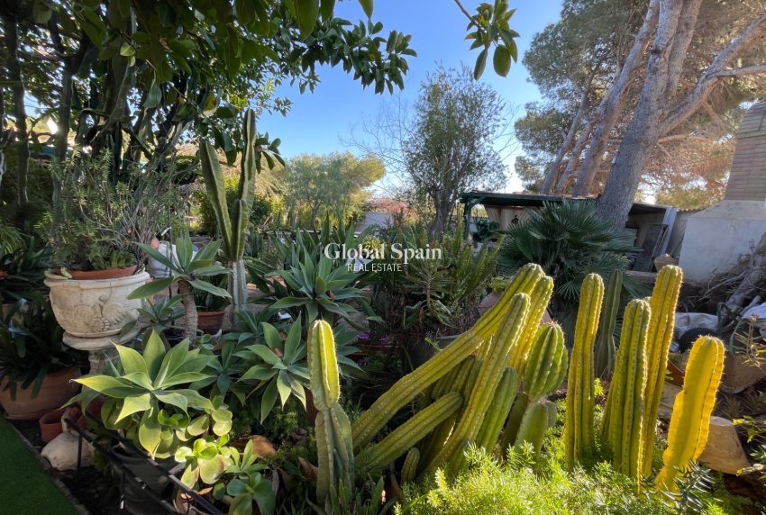 Resale - Villa -
ORIHUELA COSTA - Lomas de Cabo Roig