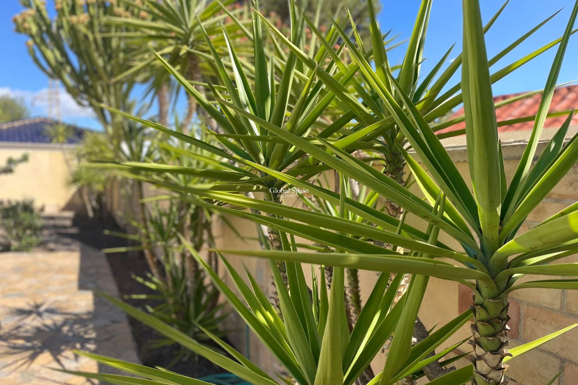 Resale - Villa -
ORIHUELA COSTA - VILLAMARTÍN