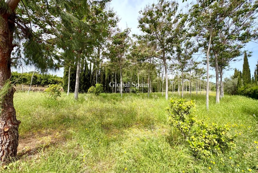 Resale - VILLA -
PEDREGUER - Pedreguer