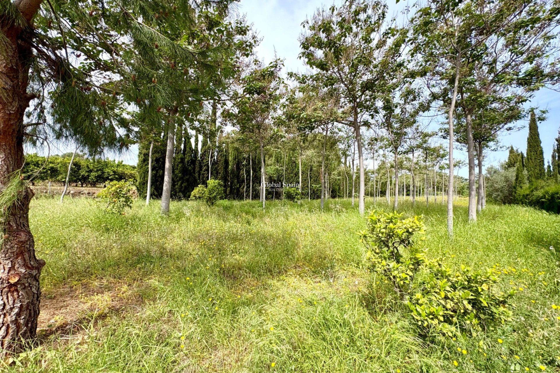 Resale - VILLA -
PEDREGUER - Pedreguer