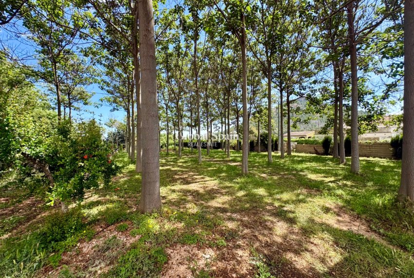 Resale - VILLA -
PEDREGUER - Pedreguer