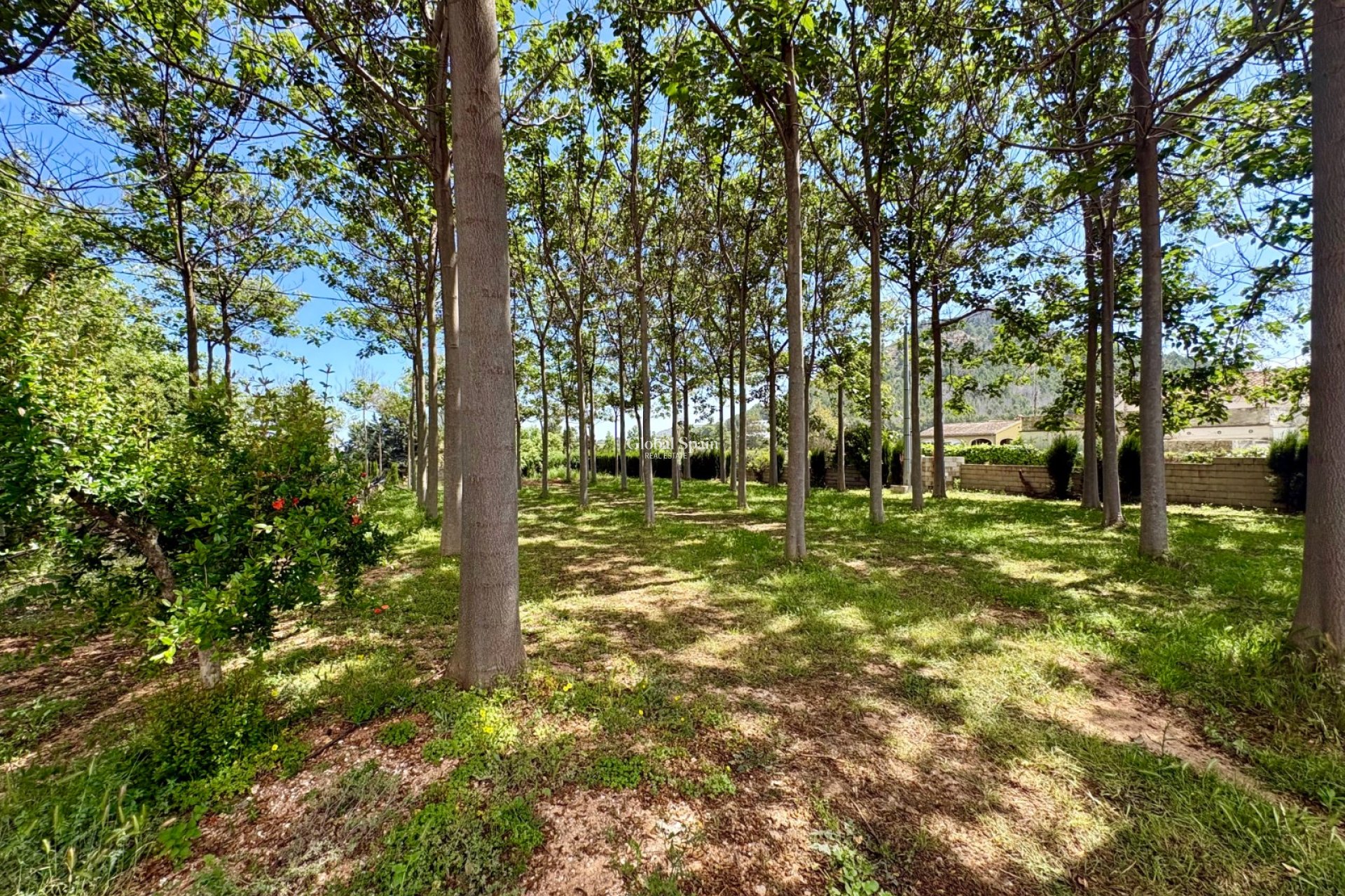 Resale - VILLA -
PEDREGUER - Pedreguer
