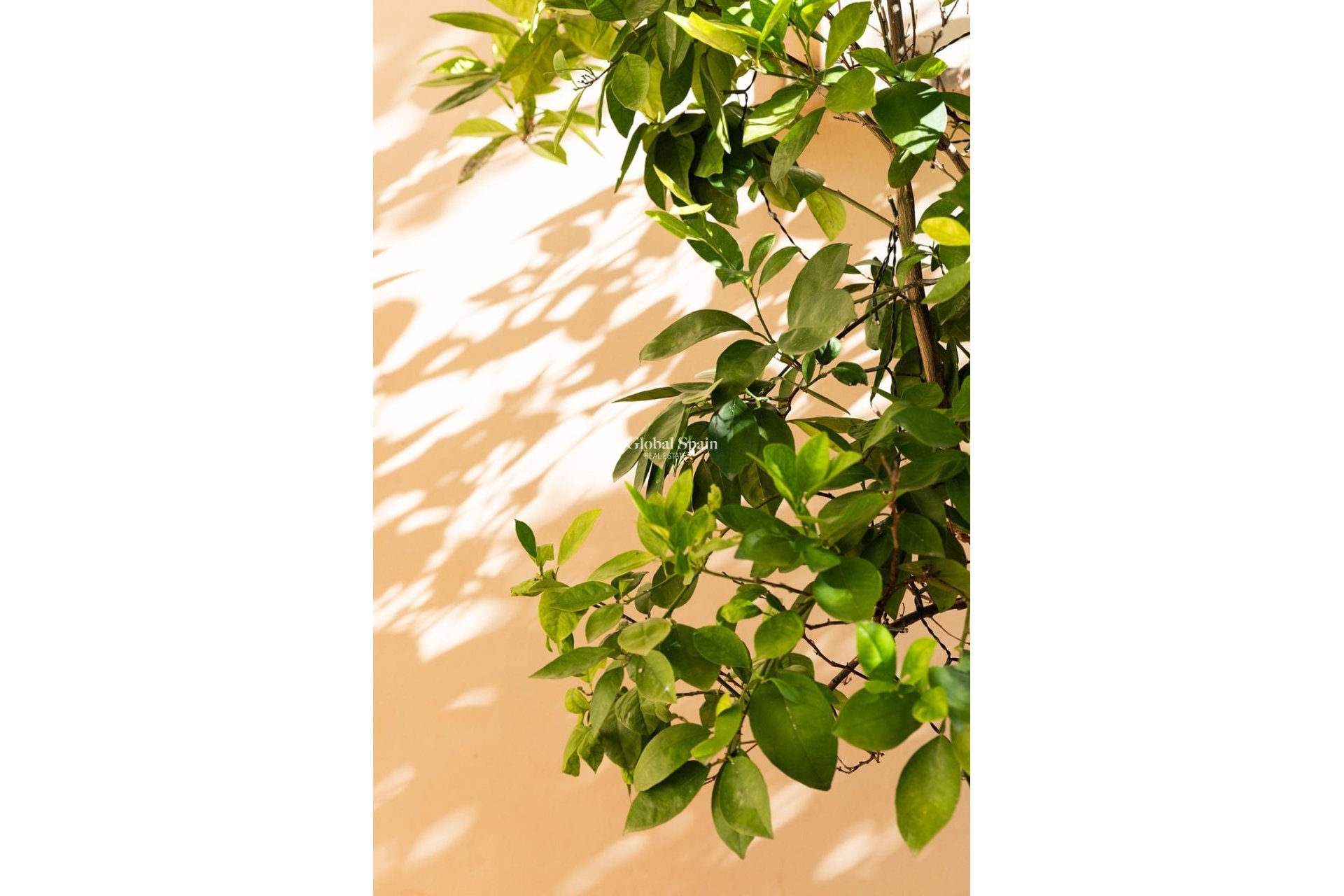 Resale - VILLA -
POLLENÇA