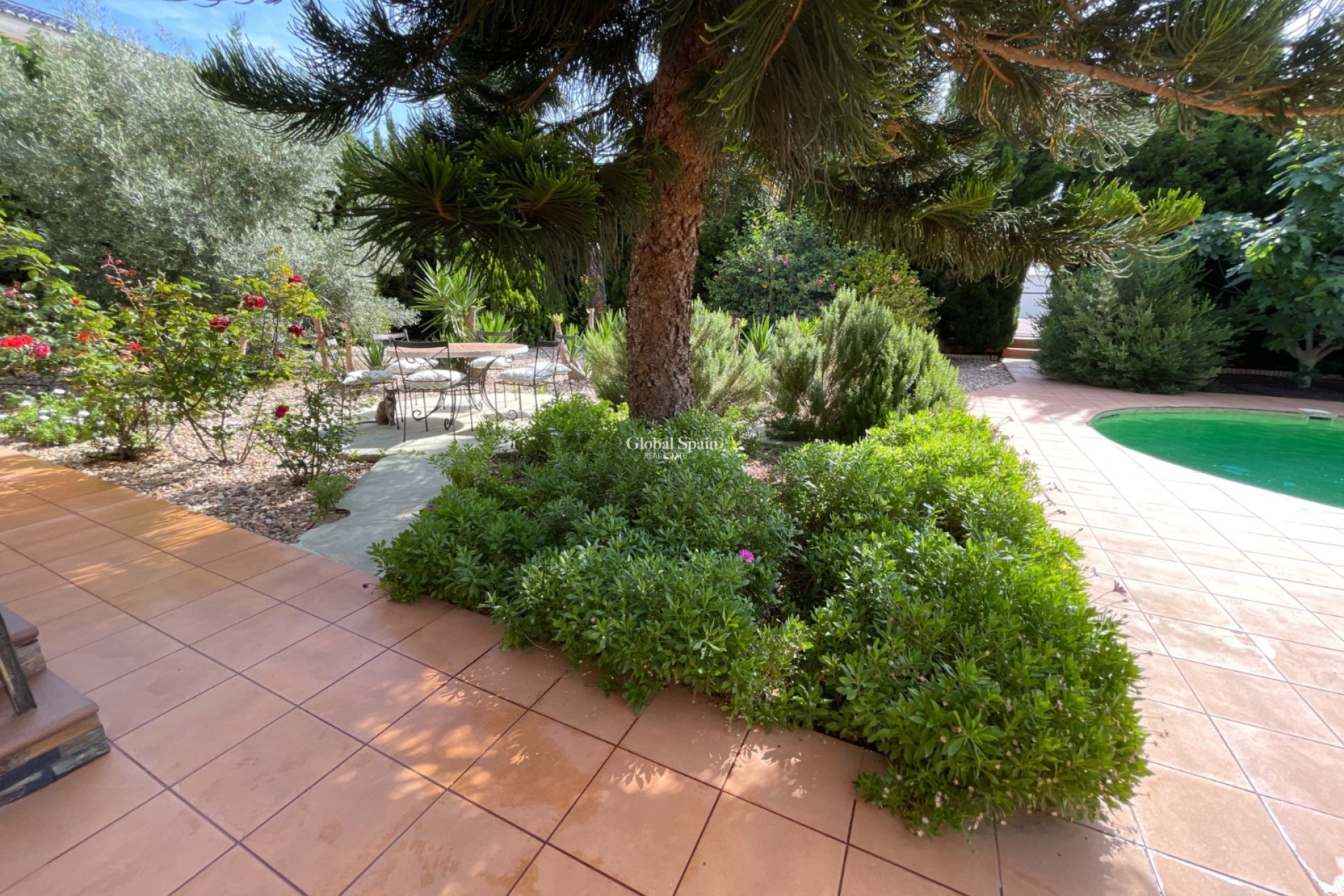 Resale - Villa -
ROJALES - Ciudad Quesada