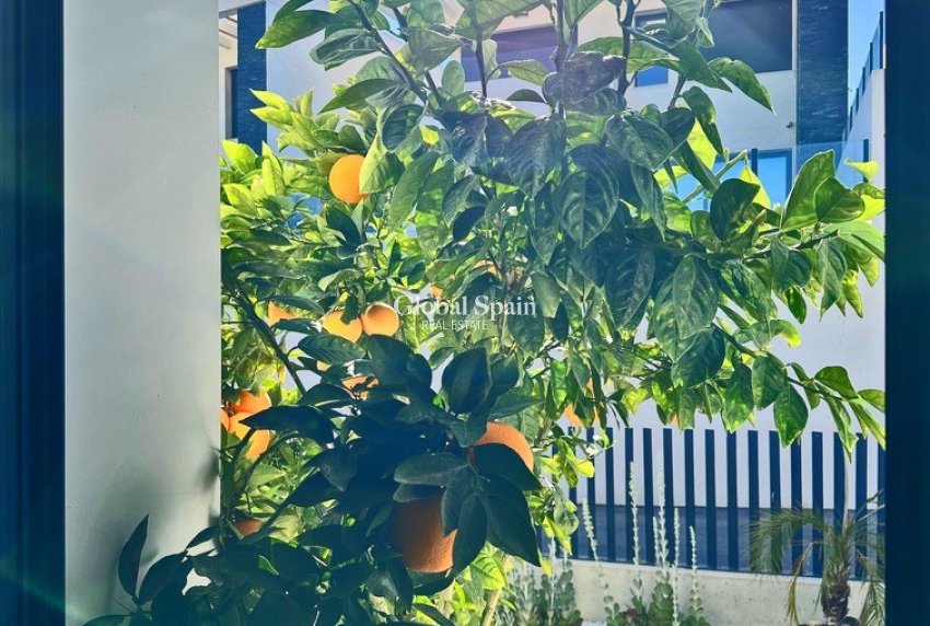 Resale - VILLA -
ROJALES - Inland