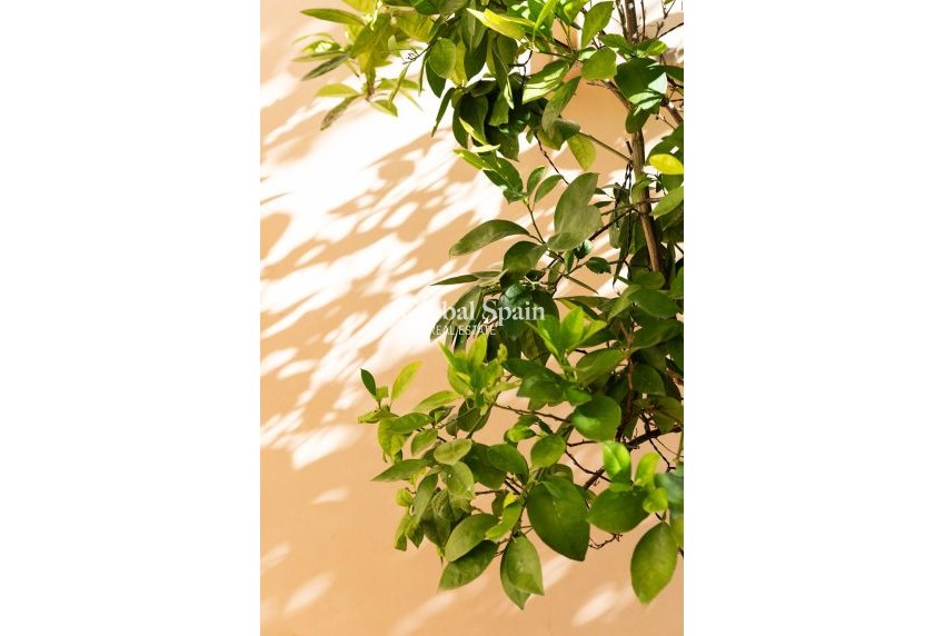 Resale - Villa -
Sa Pobla