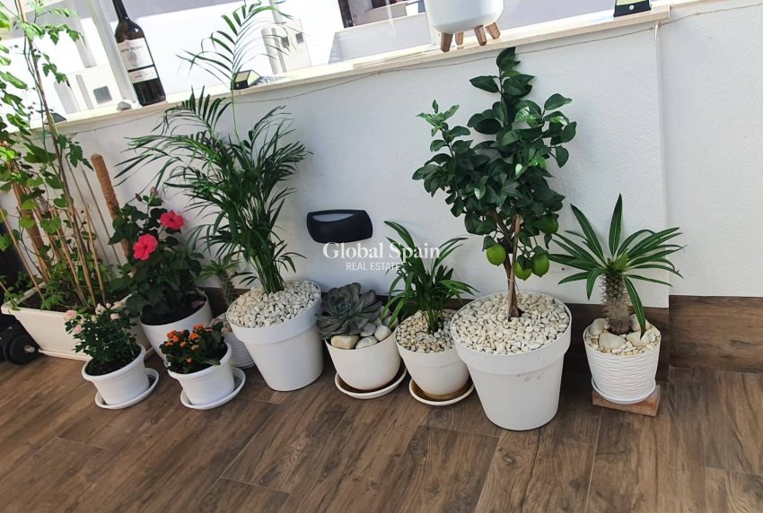 Resale - VILLA -
SAN PEDRO DEL PINATAR - CENTRO