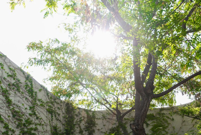 Resale - VILLA -
San Vicente del Raspeig - Inland