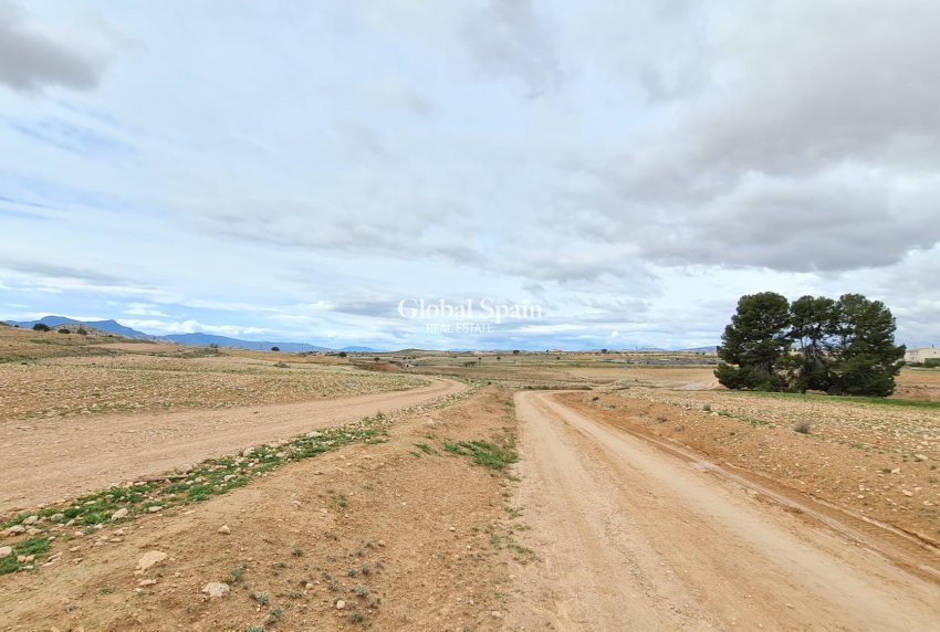 Resale - VILLA -
TORRE DEL RICO - Inland