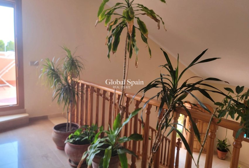 Resale - VILLA -
TORREVIEJA - Aguas Nuevas