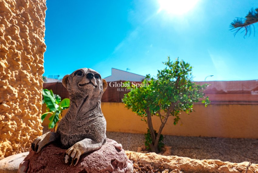 Resale - VILLA -
TORREVIEJA - Costa Blanca