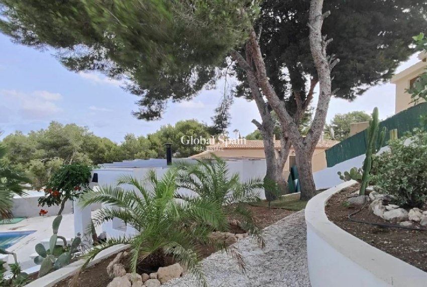 Resale - VILLA -
TORREVIEJA - Costa Blanca