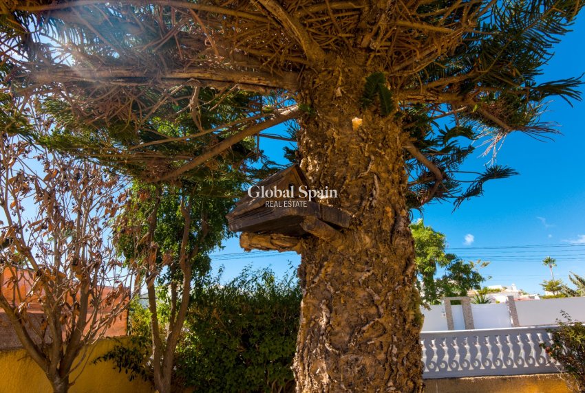 Resale - VILLA -
TORREVIEJA - Costa Blanca