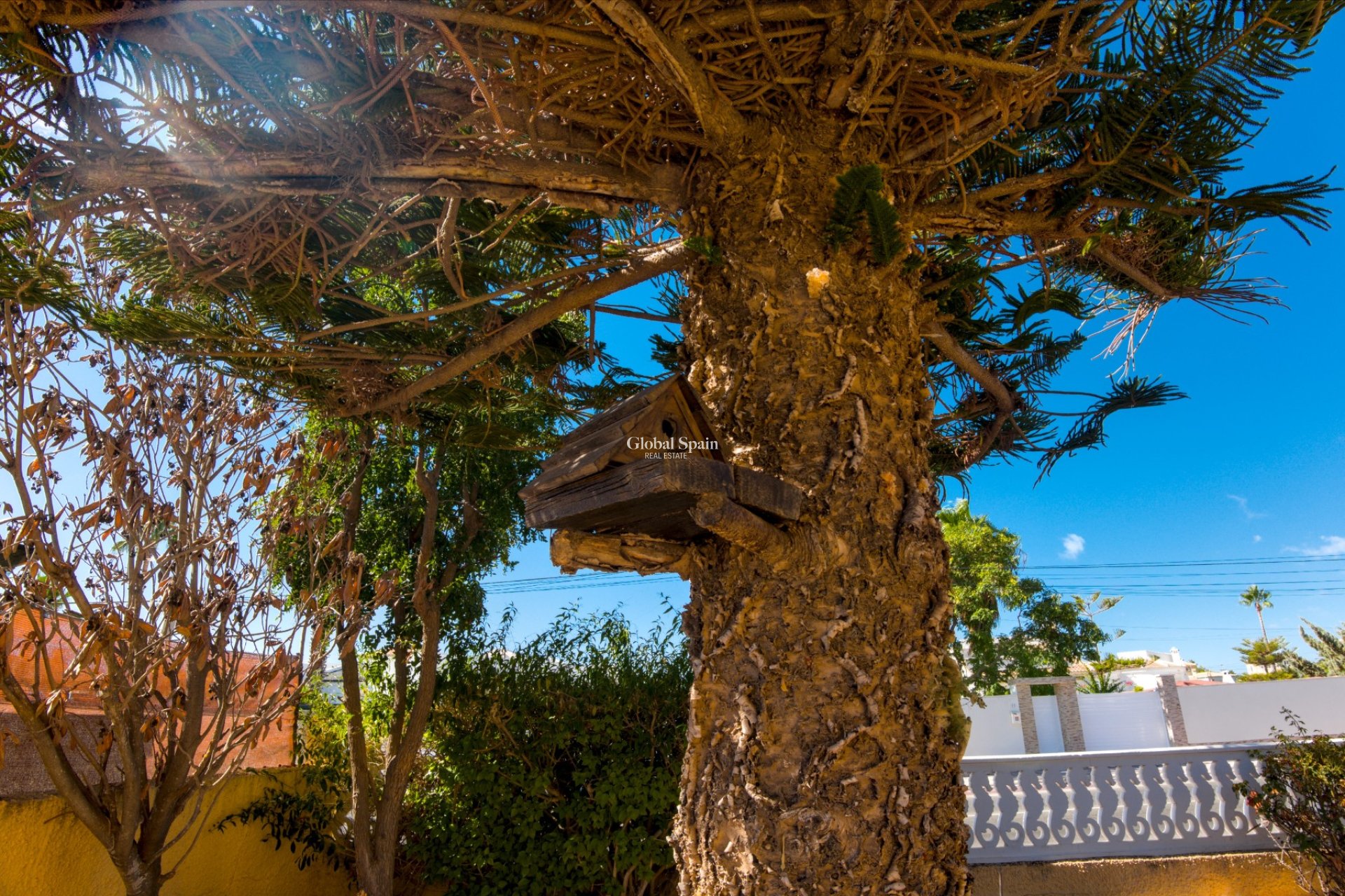 Resale - VILLA -
TORREVIEJA - Costa Blanca