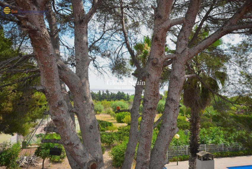 Resale - VILLA -
TORREVIEJA - LOS BALCONES - LOS ALTOS