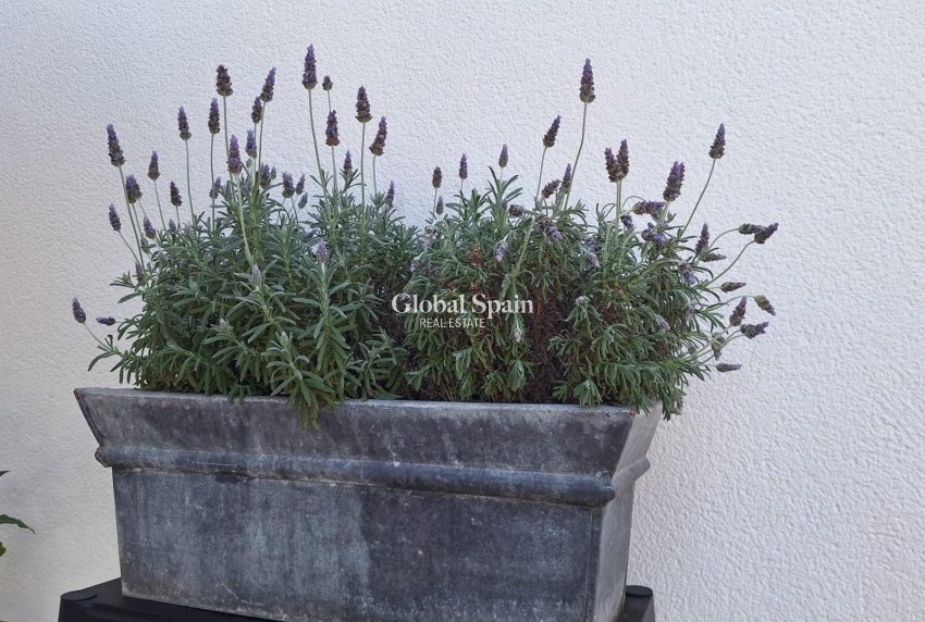 Resale - VILLA -
TORREVIEJA - LOS BALCONES - LOS ALTOS