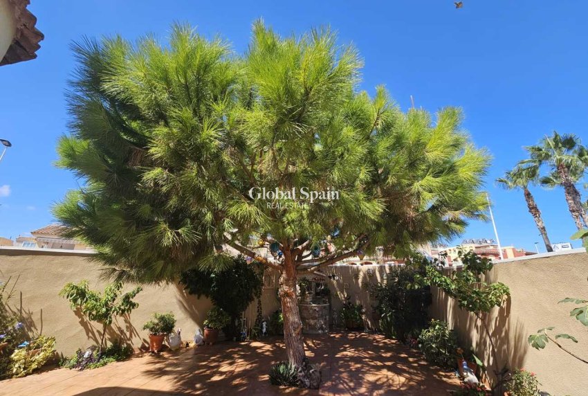 Resale - VILLA -
TORREVIEJA - Torre del Moro