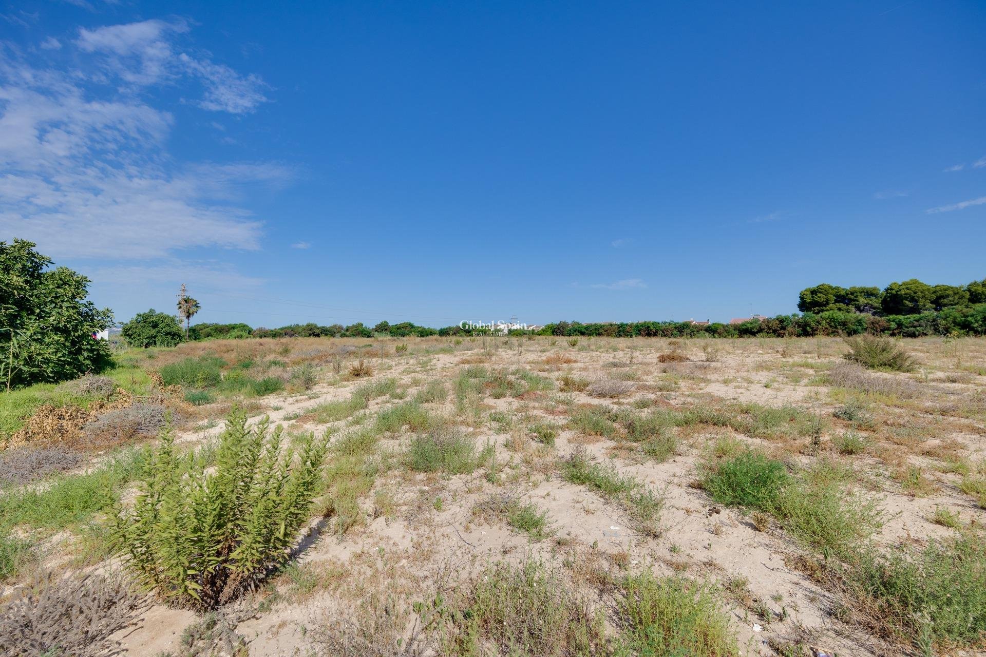 Resale - VILLA -
TORREVIEJA - Torretas