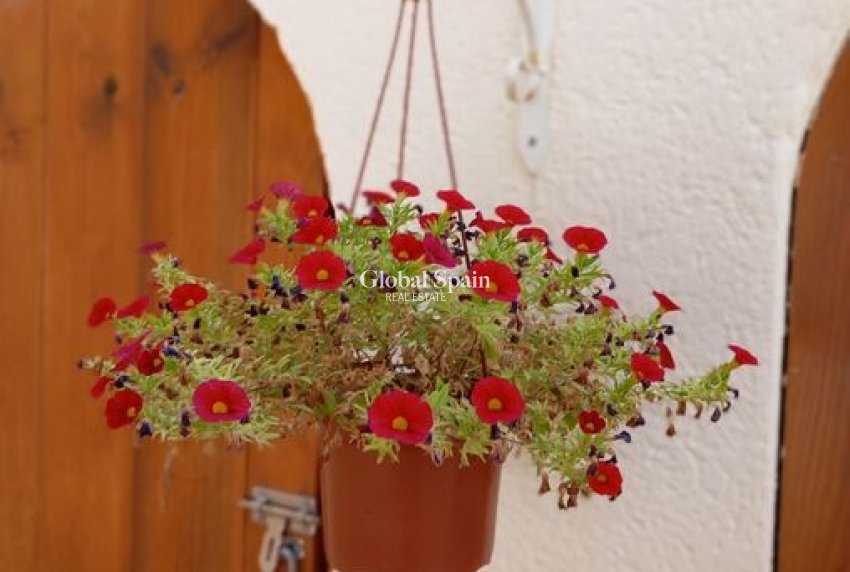 Resale - VILLA -
VILLAMARTÍN - Costa Blanca