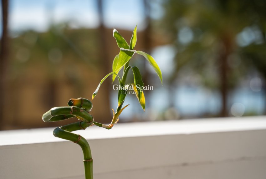 Revente - APPARTEMENT -
ALICANTE - Costa Blanca