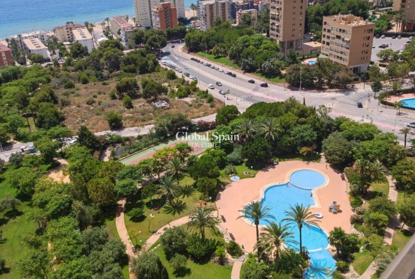 Revente - APPARTEMENT -
BENIDORM - Levante