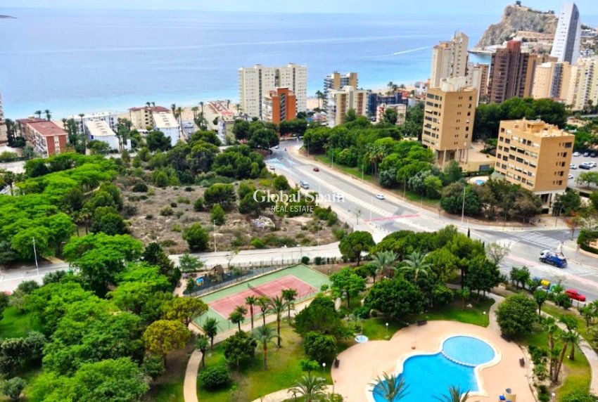 Revente - APPARTEMENT -
BENIDORM - Levante