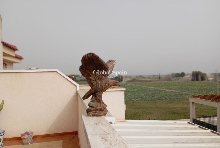 Revente - APPARTEMENT -
DAYA VIEJA - Costa Blanca