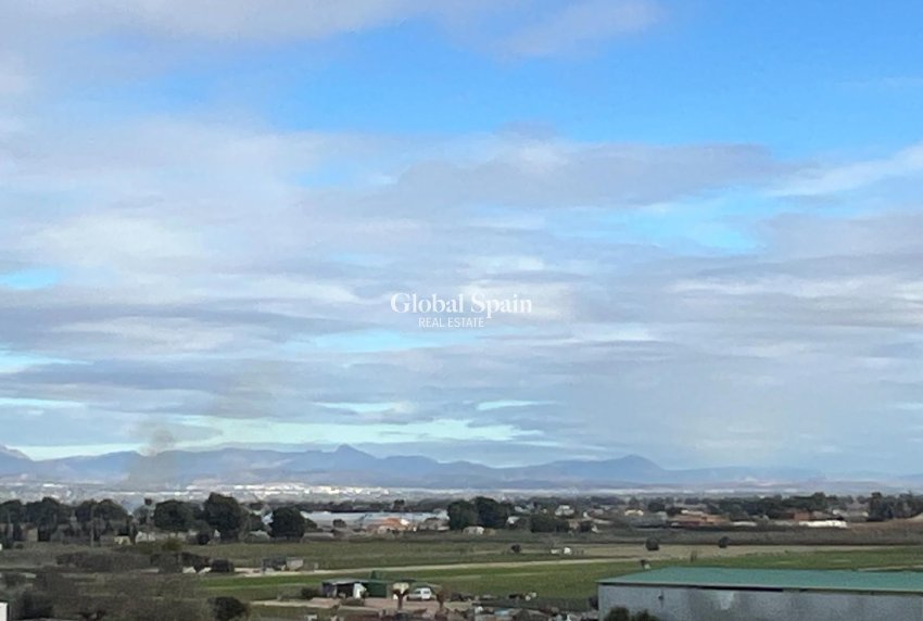 Revente - APPARTEMENT -
DOLORES - Comunidad Valenciana