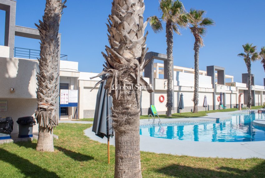 Revente - Appartement - Flat -
TORREVIEJA - La Mata