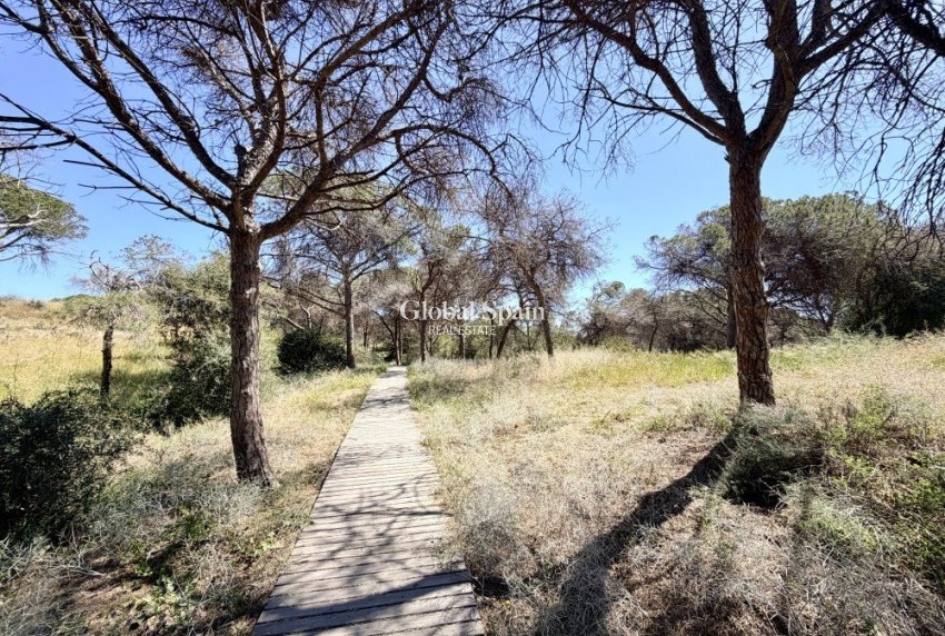 Revente - APPARTEMENT -
GUARDAMAR DEL SEGURA - Costa Blanca