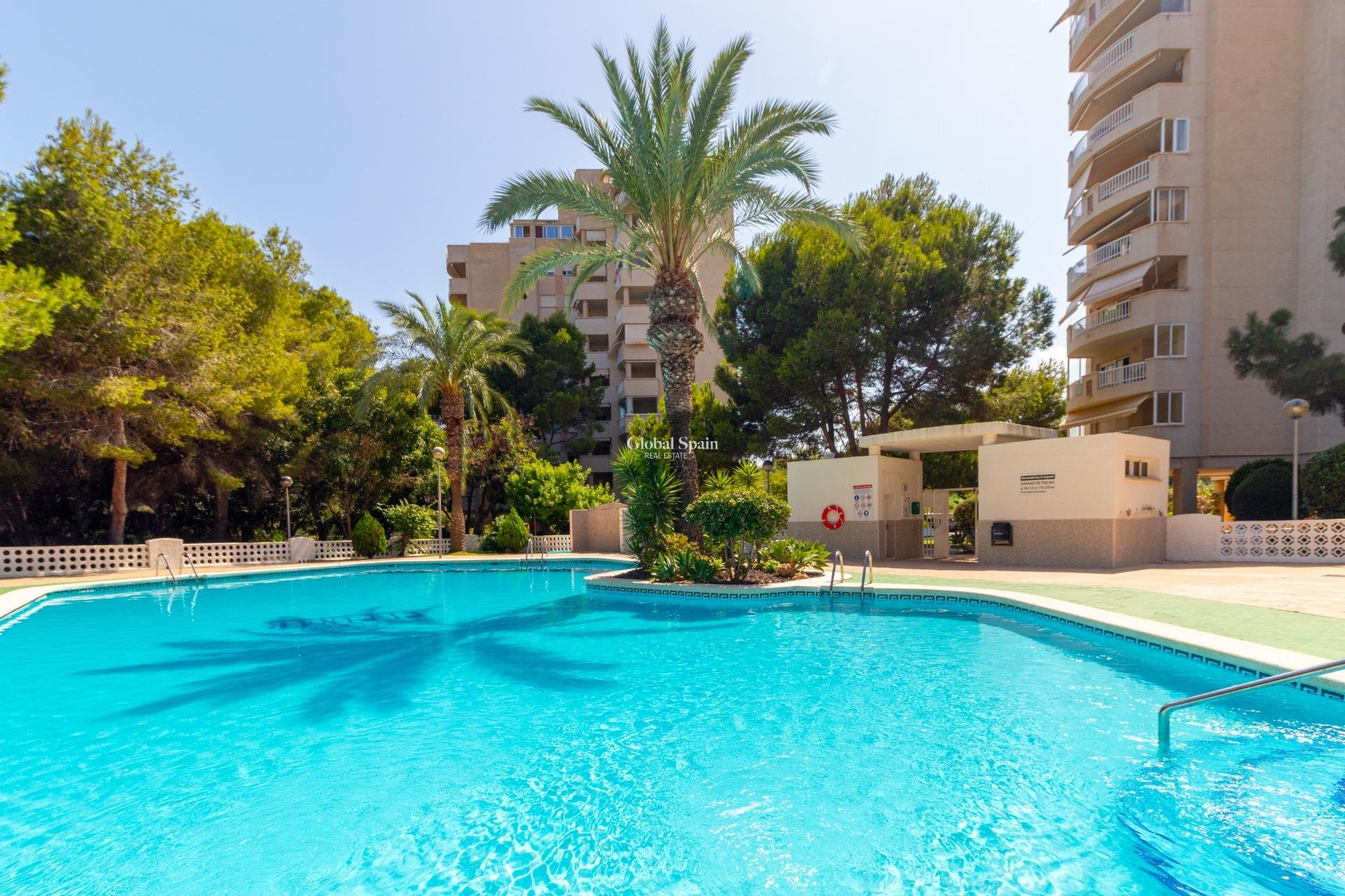 Revente - APPARTEMENT -
ORIHUELA COSTA - CAMPOAMOR