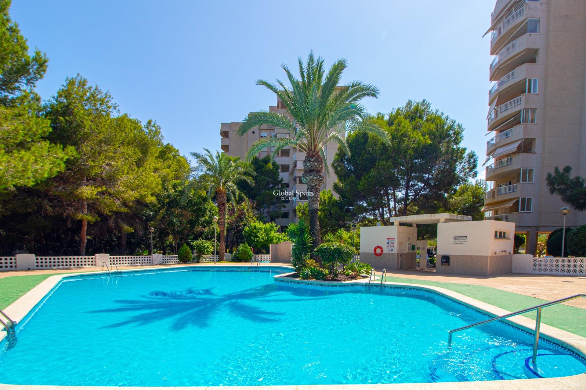 Revente - APPARTEMENT -
ORIHUELA COSTA - CAMPOAMOR