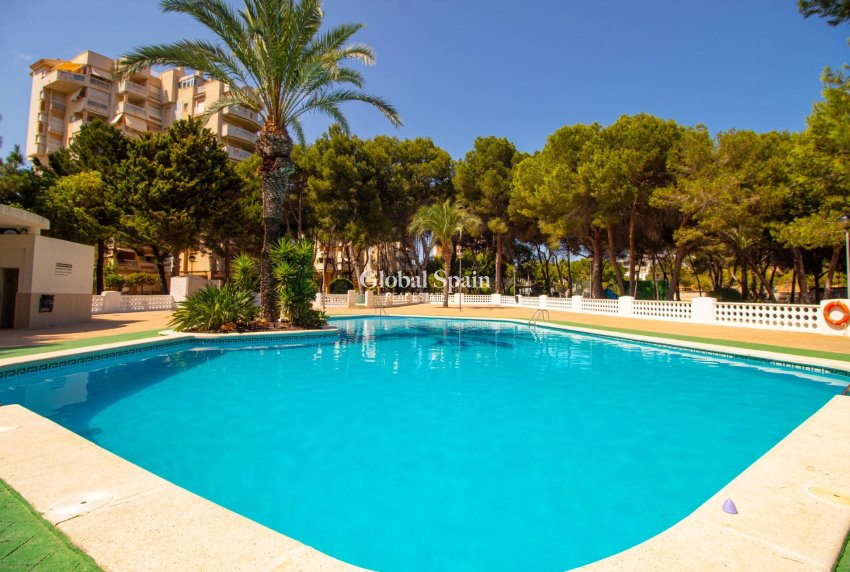 Revente - APPARTEMENT -
ORIHUELA COSTA - CAMPOAMOR
