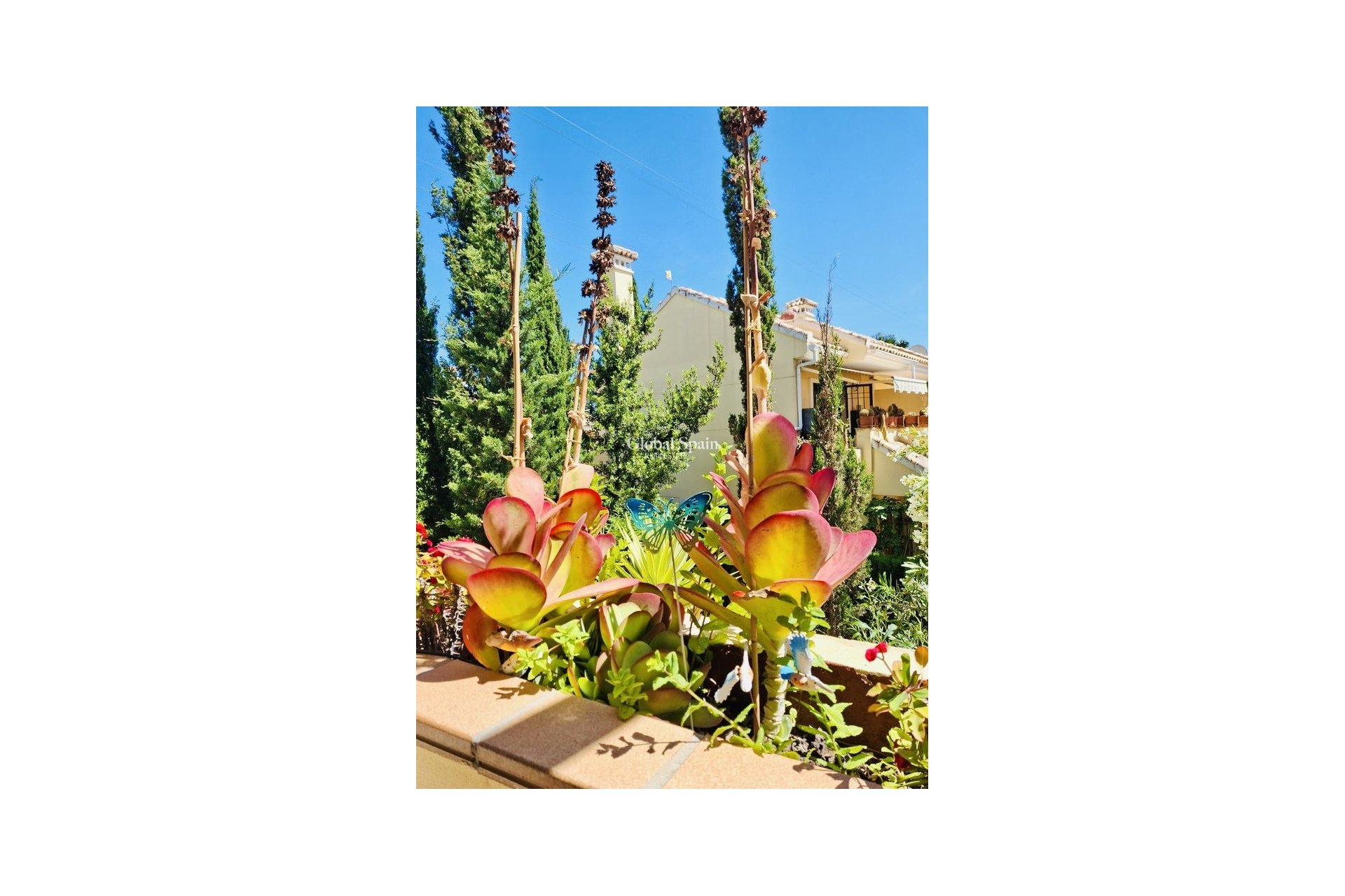 Revente - APPARTEMENT -
ORIHUELA COSTA - Costa Blanca