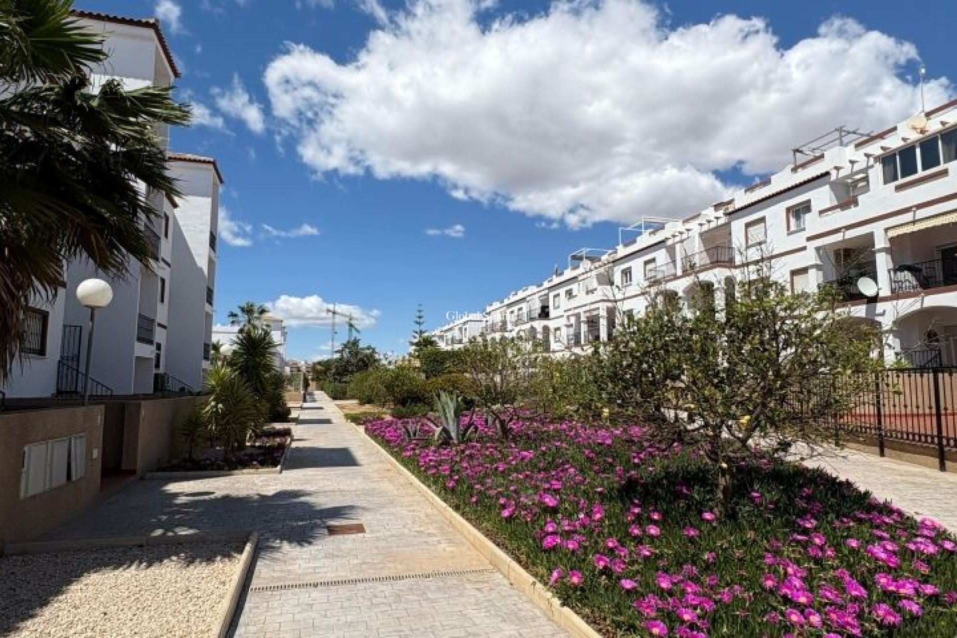 Revente - APPARTEMENT -
ORIHUELA COSTA - Costa Blanca
