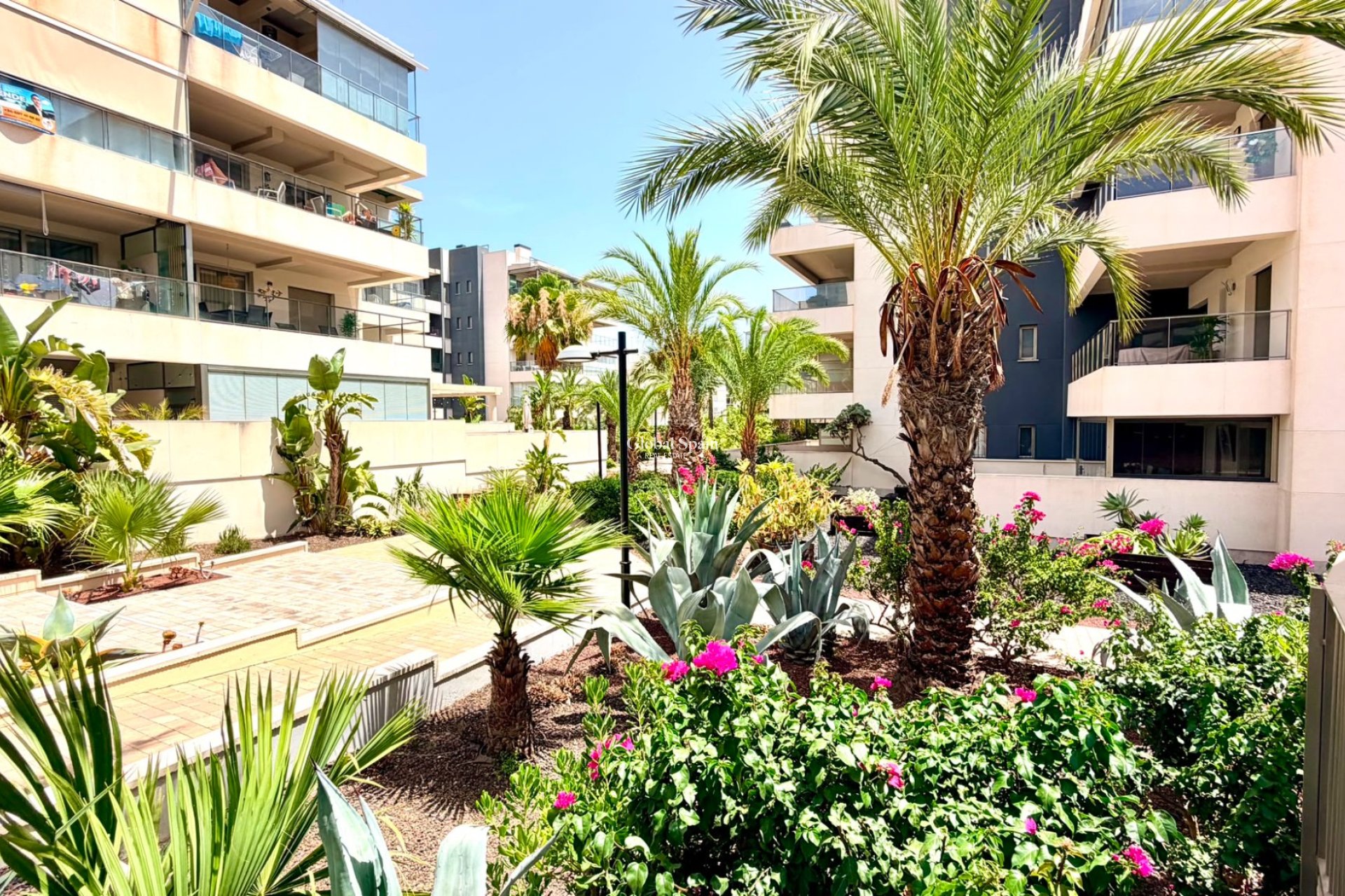Revente - APPARTEMENT -
ORIHUELA COSTA - Costa Blanca