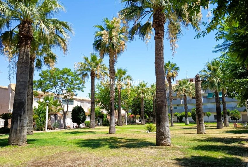 Revente - APPARTEMENT -
ORIHUELA COSTA - Costa Blanca