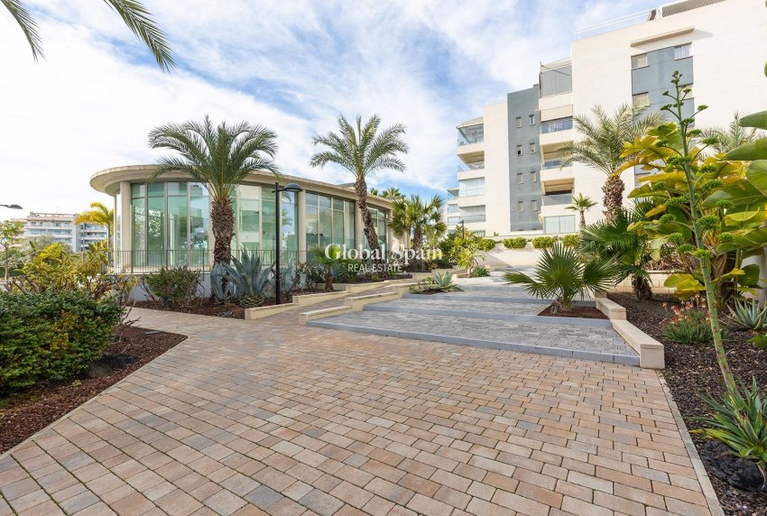 Revente - APPARTEMENT -
ORIHUELA COSTA - Los Dolses