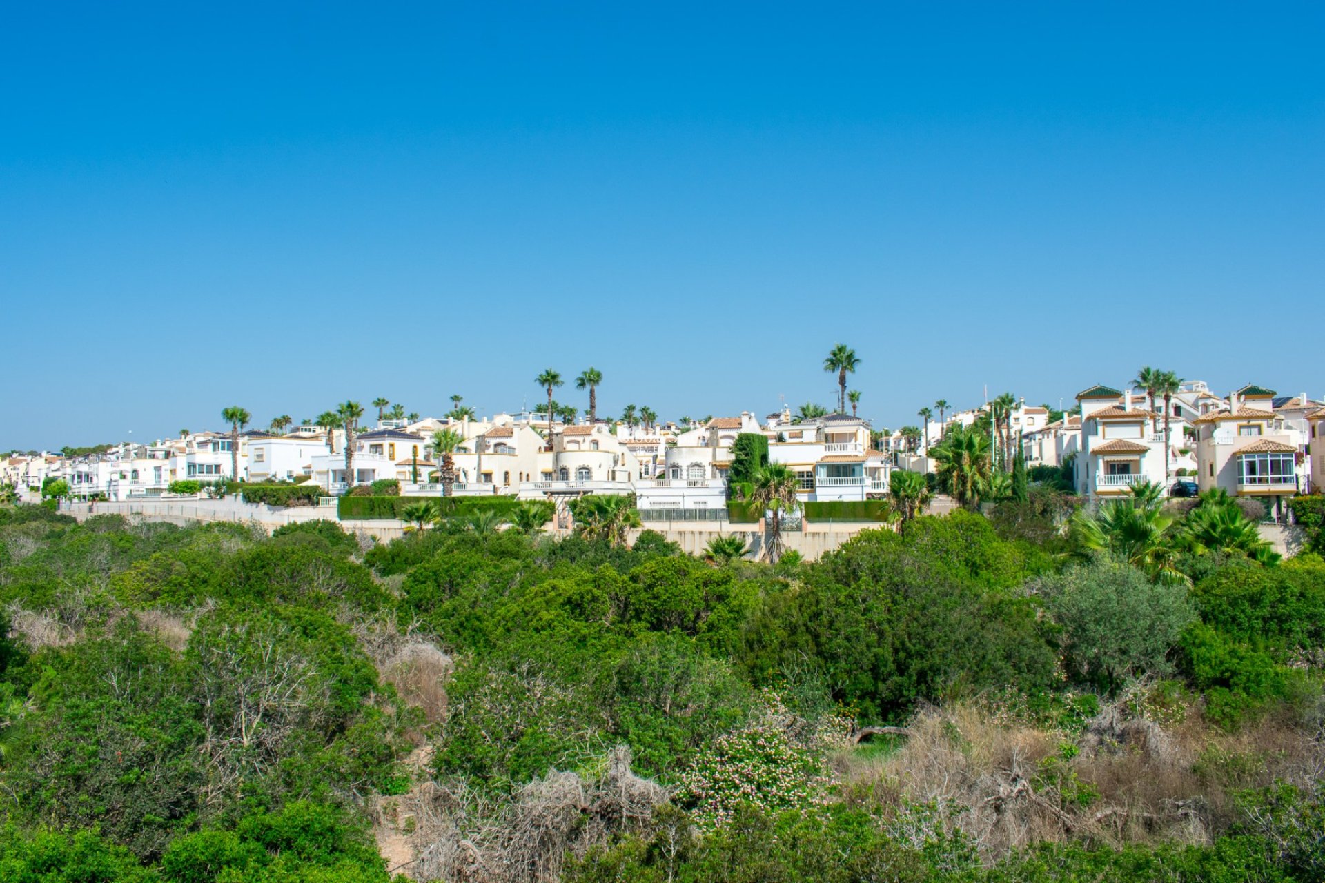 Revente - APPARTEMENT -
ORIHUELA COSTA - Los Dolses