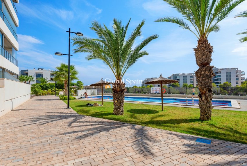 Revente - APPARTEMENT -
ORIHUELA COSTA - Los Dolses