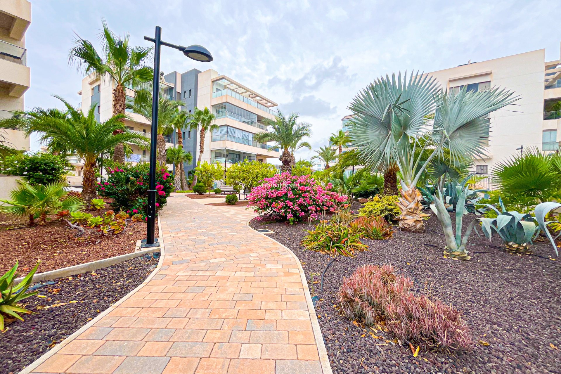 Revente - APPARTEMENT -
ORIHUELA COSTA - VILLAMARTÍN