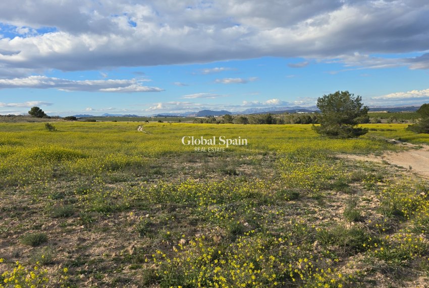 Revente - APPARTEMENT -
ORIHUELA COSTA - VILLAMARTÍN